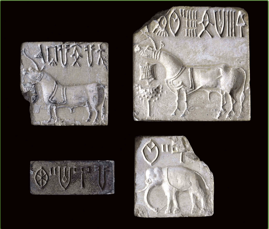 <p>Seals showing one horned animals, an elephant, and Indus script&nbsp;</p>
