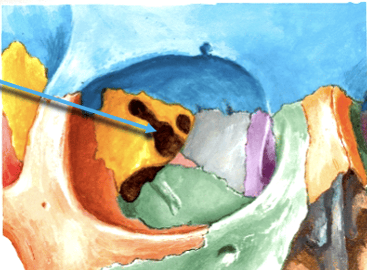 <p>Space through which cranial nerves III, IV, V1, VI travel from middle cranial fossa into orbit</p>