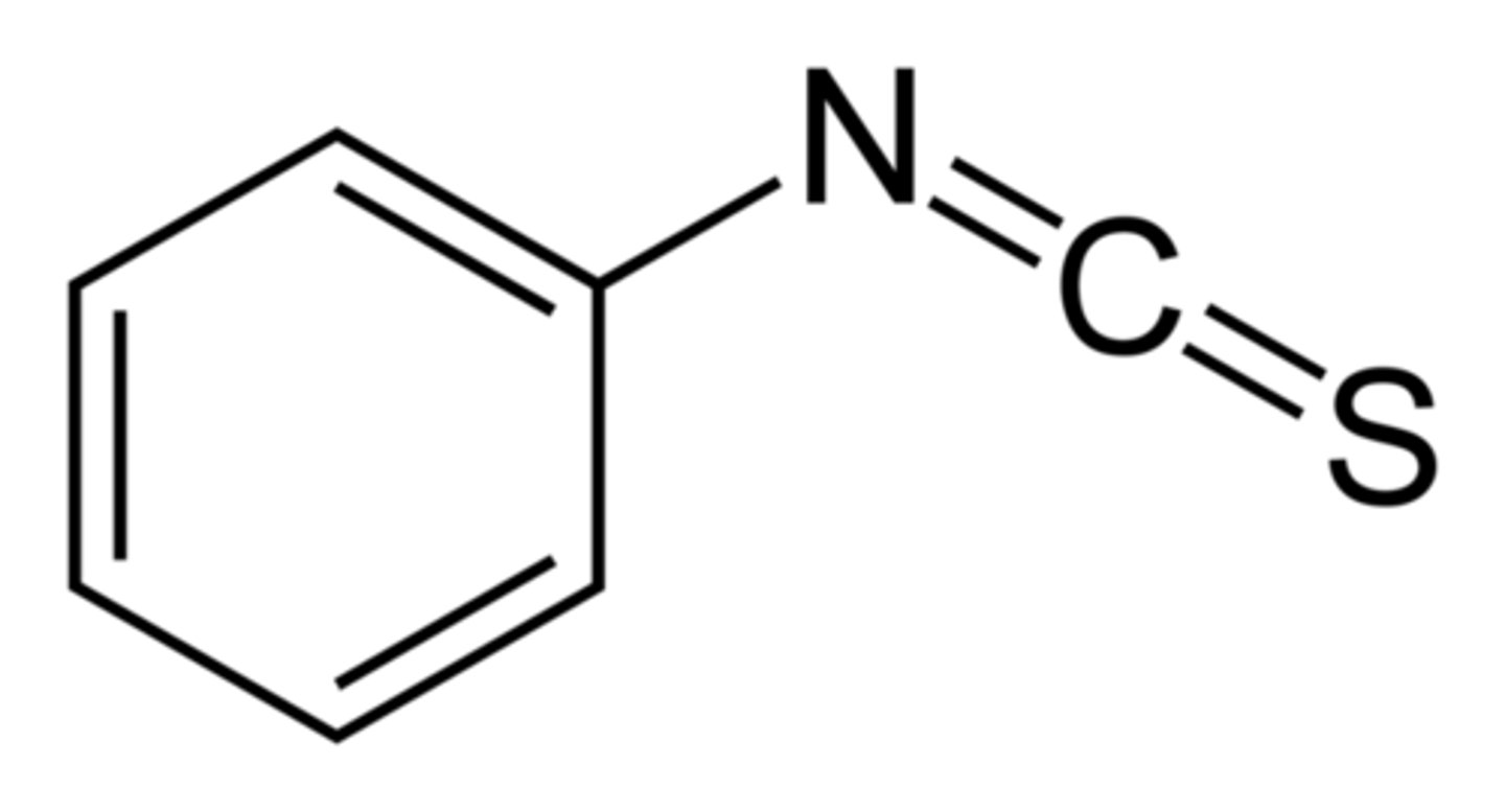 <p>N-terminal identifier</p>
