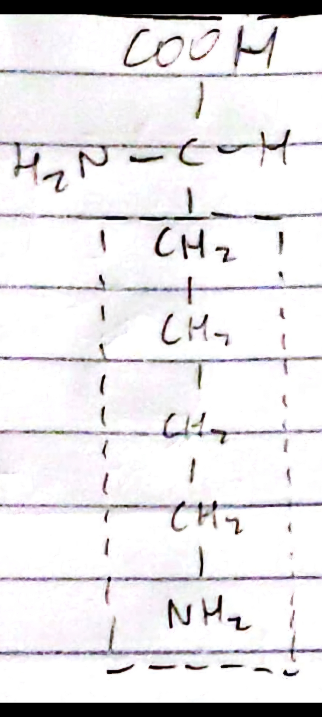 knowt flashcard image