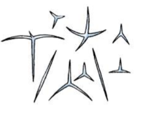 <p>What is this?</p>