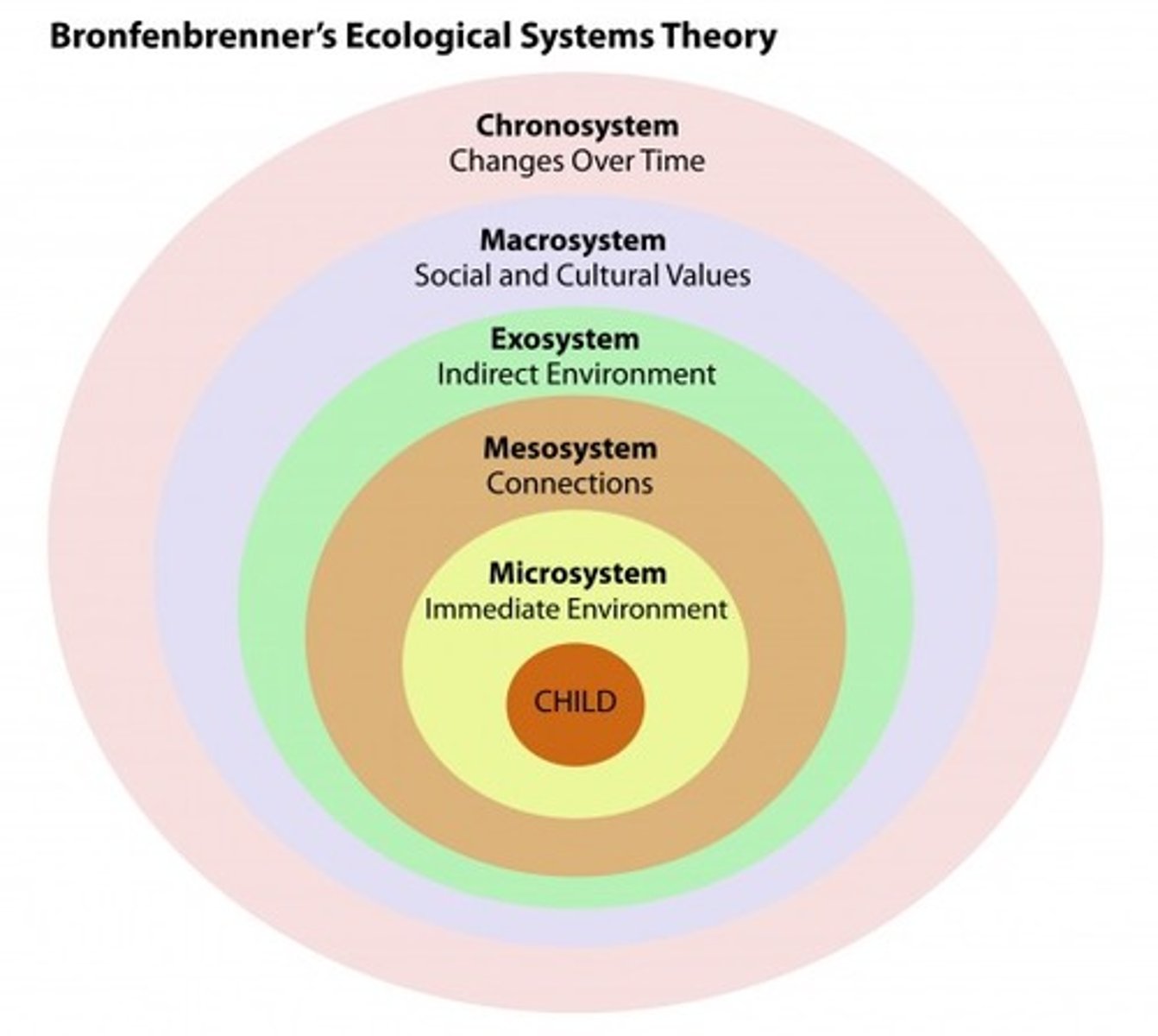 <p>holds that people encounter different environments throughout their lifespan that may influence behavior in varying degrees</p>