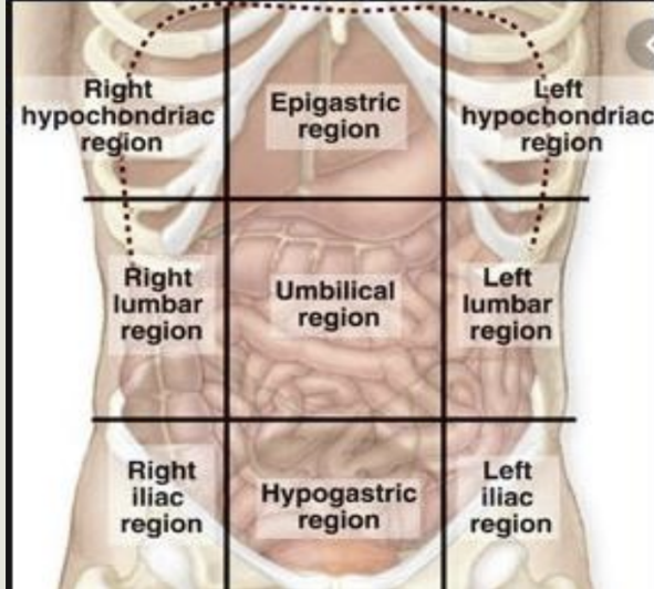 <p><span>epigastric, umbilical, hypogastric, lumbar, etc</span></p>