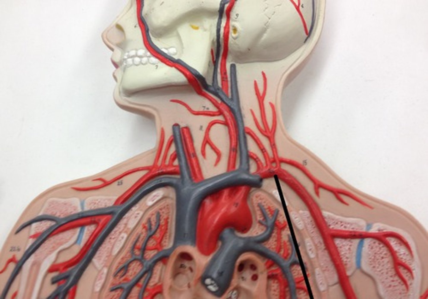 <p>What structure?</p>