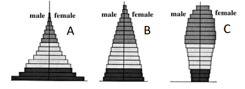 The population (as shown by the age distributions A-C on the right) that is not growing is 