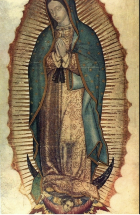 <p>Virgin of Guadalupe Identifiers</p>