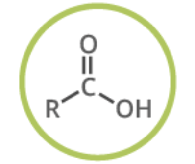 <ul><li><p>Carbonyl compound </p></li><li><p>Naming -oic acid </p></li></ul><p></p>