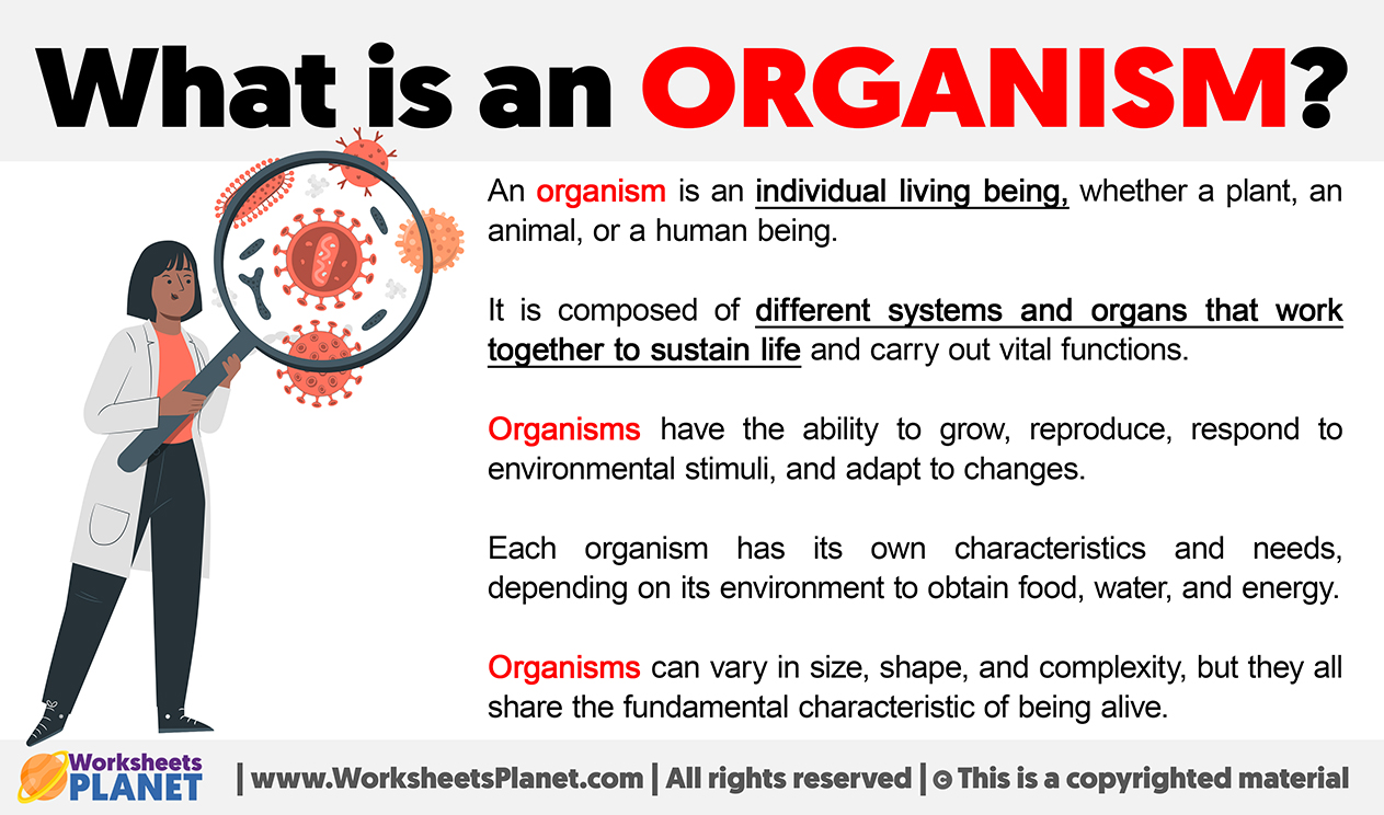 <p>An organism is any living thing that can maintain homeostasis, has different levels of organization, reproduces, grows, uses energy, responds to stimuli, and adapts to its environment.</p>