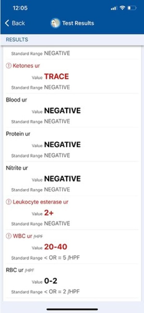 <p>A 23-year-old female presents to the clinic for evaluation of urinary frequency. She reports that she feels the need to urinate ~10 times per day but when she goes she only produces a small amount of urine. She also notes an urgency to urinate even right after having gone to the bathroom. She also reports that her urine appears cloudy and is foul smelling. She has mild pelvic pain which is non-radiating. She reports no recent medication changes. A post-void residual is ordered and is normal. Labs, including a CBC, CMP, and HgA1c are normal. A urinalysis obtained which is seen below. Which of the following is true?</p><p>A.A urine culture is indicated to evaluate for causative organism of UTI</p><p>B.The patient should be treated for a UTI and needs no further testing given these UA results</p><p>C.The patient likely does not have a UTI; no urine culture is indicated</p><p>D.A CT with IV contrast of the abdomen is the next best step in evaluating the patient</p>
