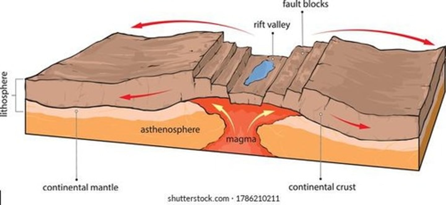 <p>A valley formed when continental plates diverge, leading to volcanic activity.</p>