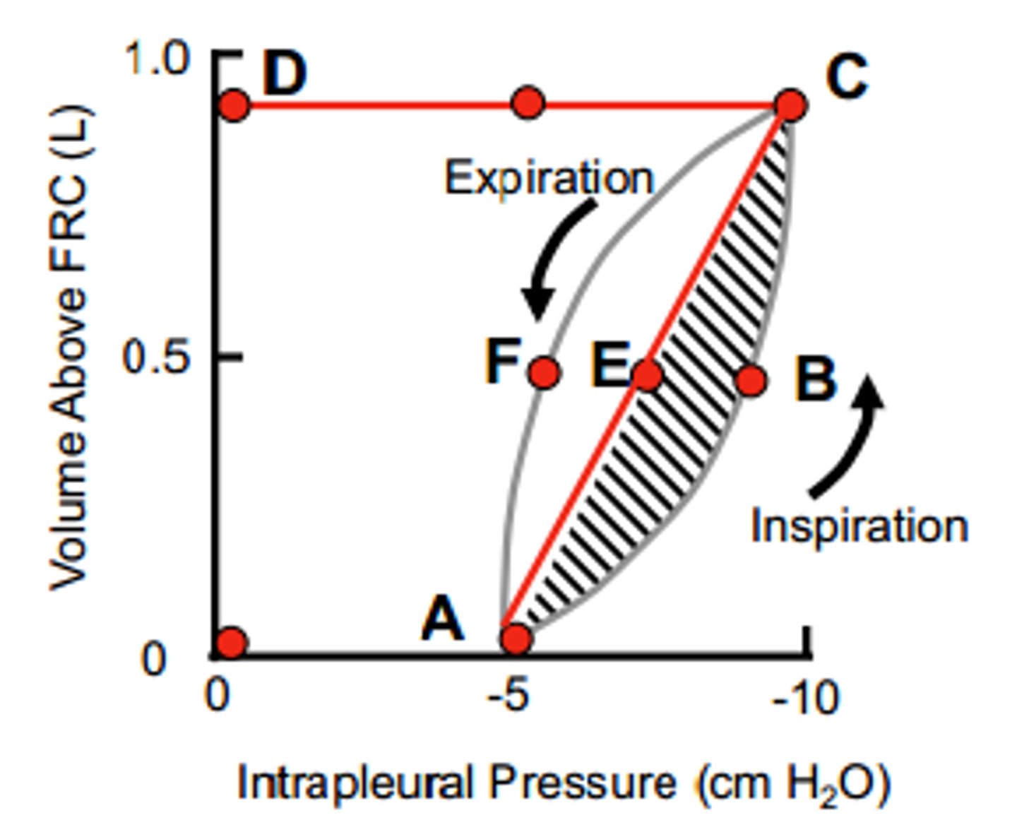 <p>-Work of breathing = ΔP×ΔV</p><p>-0ABCD = total mechanical work of inspiration (sum of 0ACD = work to elastically stretch lungs and ABCE = work to overcome non-elastic resistance)</p><p>-0AECD = inspiratory work to overcome elastic resistance --&gt; potential energy available for passive expiration</p><p>-ABCE = inspiratory work to overcome non-elastic resistance (airway resistance)</p><p>-AECF = energy required to overcome resistance to airflow during expiration --&gt; if AECF is less than 0AECD, then expiration can be passive</p>