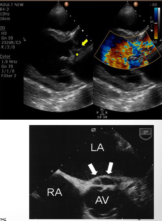 <p>what is this?</p>