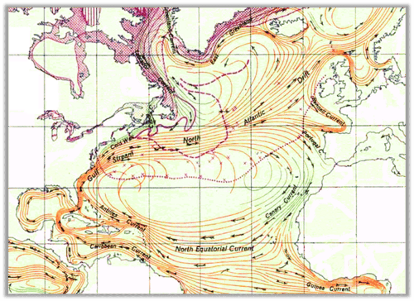 <p>called the North Atlantic Subtropical Gyre; bound by rotating currents of the Gulf Stream to the west, the North Atlantic current to the north, and the Canary Current to the east, and the North Equatorial Current to the south</p>