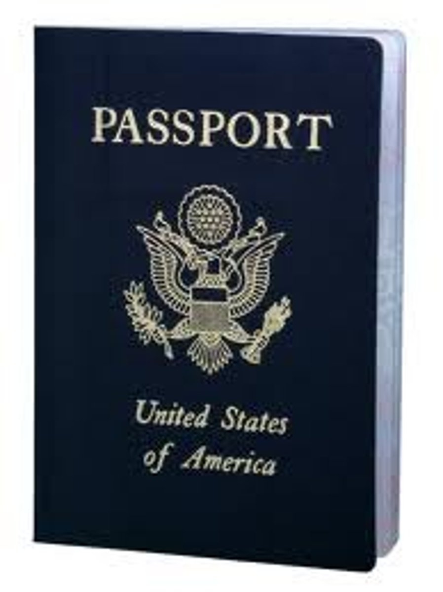 <p>el pasaporte</p>