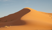 <p><span>sand dune </span></p><p><span>(n) </span></p><p><span>/ˈsænd ˌduːn/</span></p>