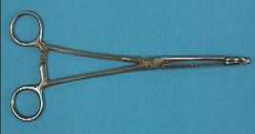<p>is used to grasp sponges. Other names: sponge forcep.</p>