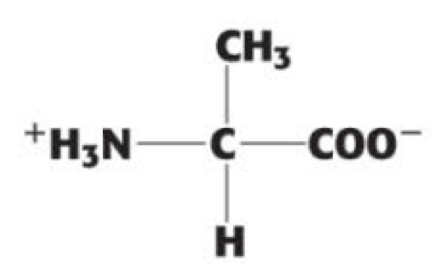 <p>(Ala, A). non-polar, aliphatic</p>