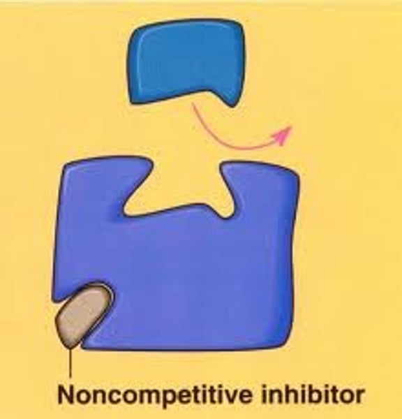 <p>-inhibitor does NOT attach on active site, but somewhere else called the "<b>allosteric site</b>", changing the shape of the enzyme... preventing the enzyme from working with substrate!<br><br>An inhibitor binds to a secondary site on the enzyme. This changes the shape of the active site and and prevents the substrate from binding</p>