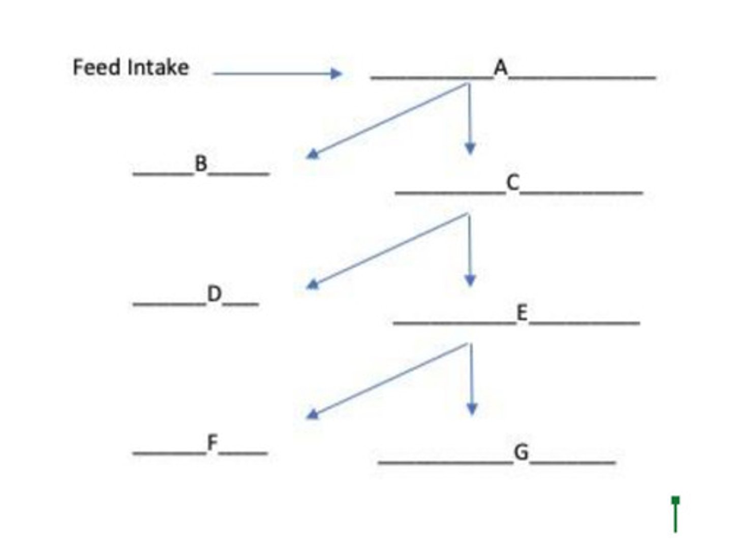 <p>heat increment, heat energy</p>