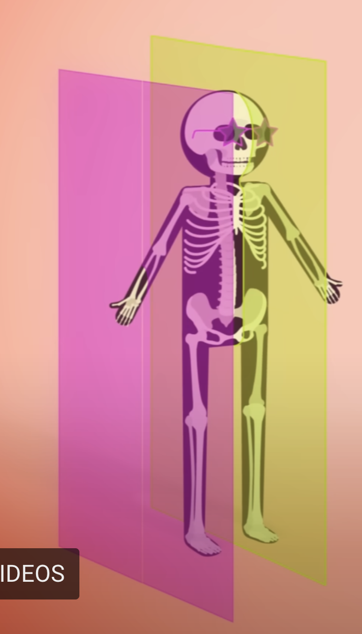 <p>Very similar to the sagittal plane (divides the body into the left and right part), <strong>but it does not divide the body into equal halves. </strong></p>