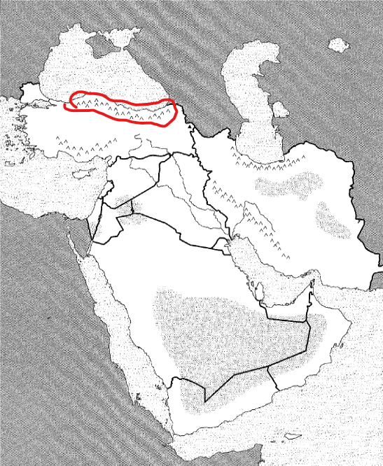 <p>Physical</p>