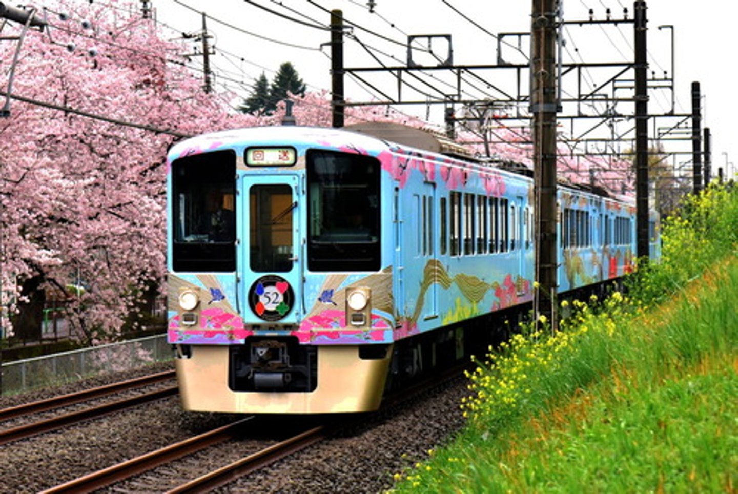 <p>Thăm, đi đến - まいります</p>