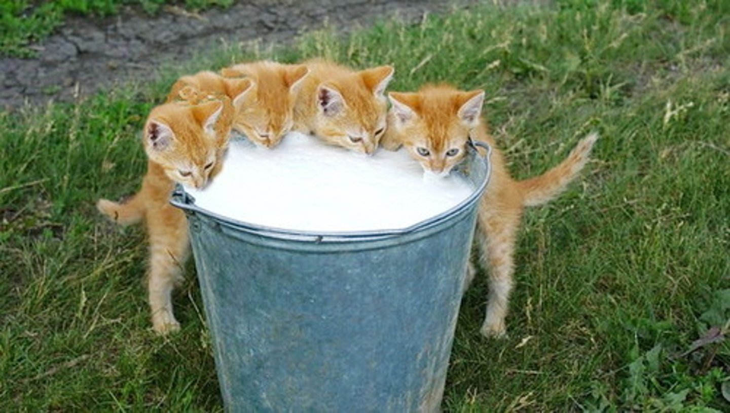 <p>don't drink</p>