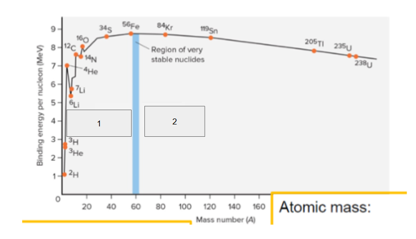 <p>For atomic mass &lt;56(in area of box 1) what happens to the nuclei?</p>