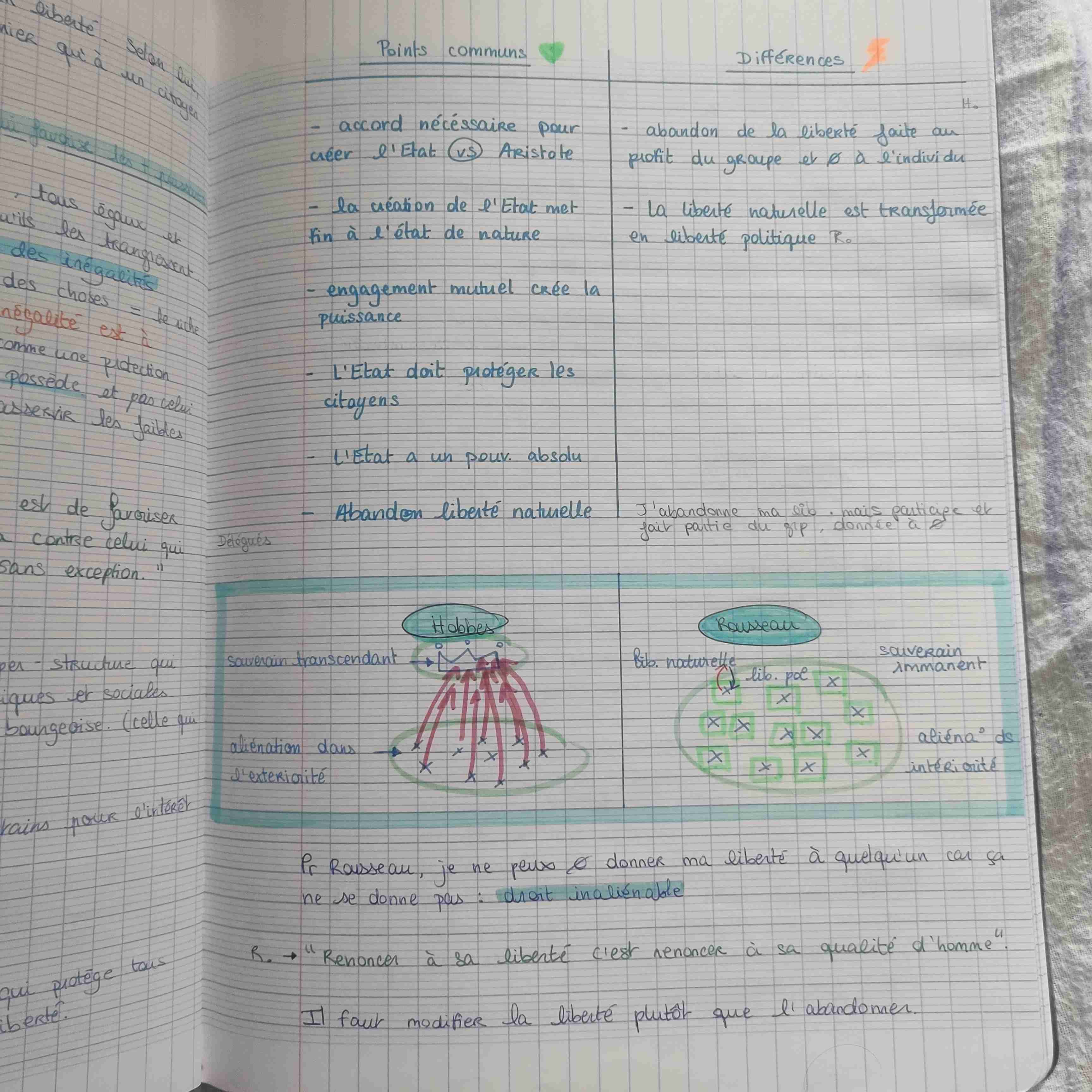 <p>photo schéma + explication</p>