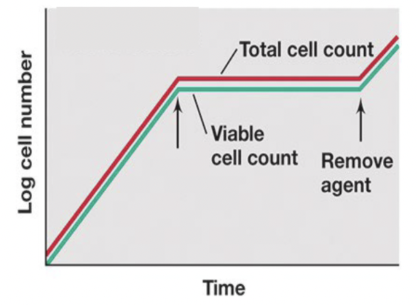 <p>agents that reversibly inhibit pathogen growth</p><p>Reversible: growth resumes when the antimicrobial agent is gone</p><p>(bacteriostatic)</p>