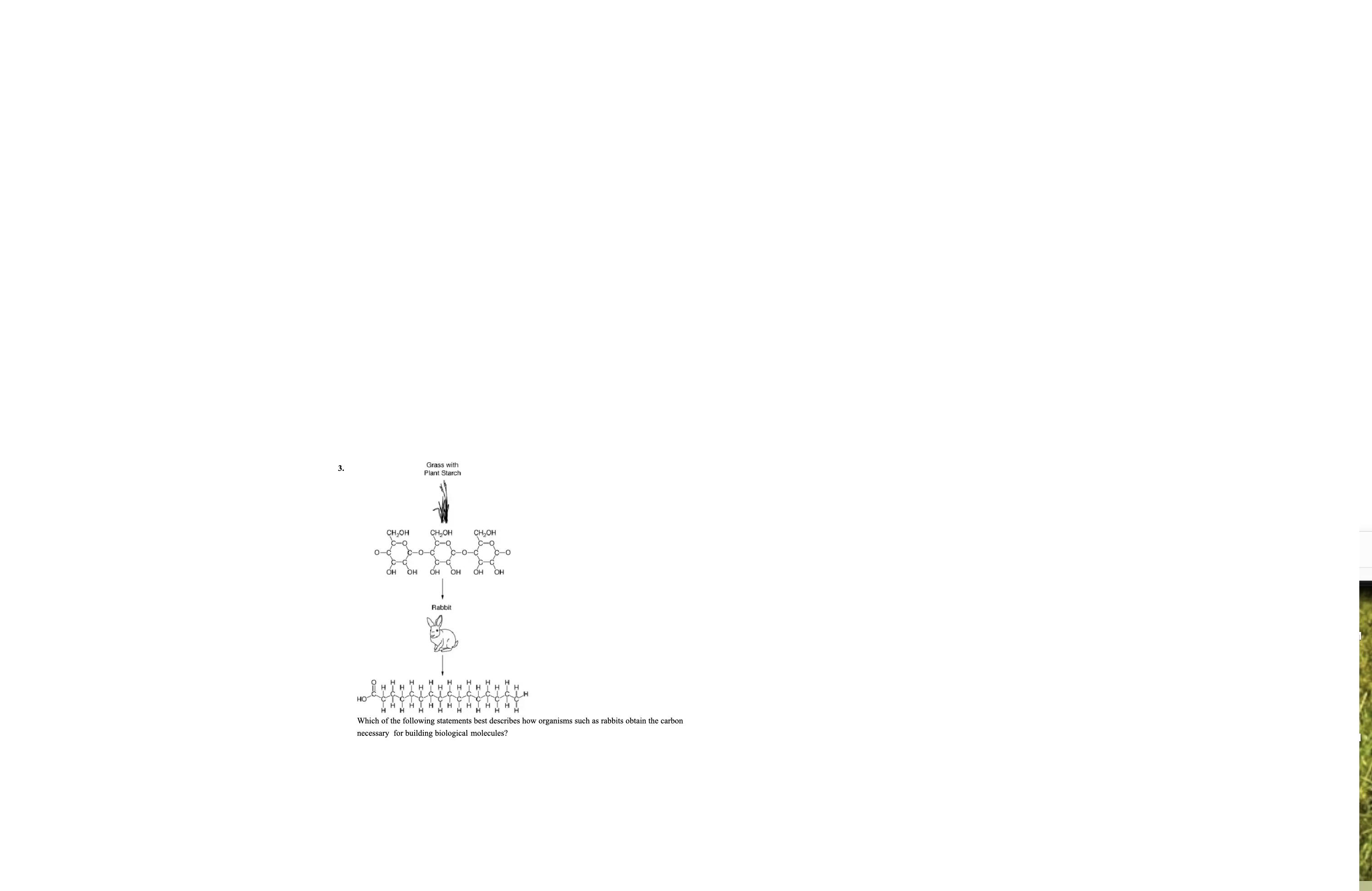 <p>Which of the following states best describes how animals such as rabits obtain the carbon necessary for building biological molecules</p>