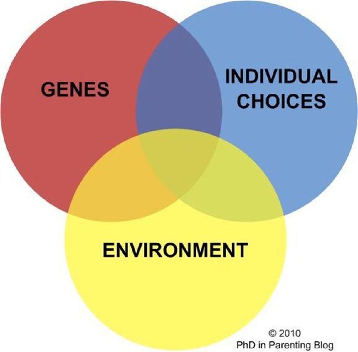<p>Genetics and abiotic environmental factors influencing behavior.</p>