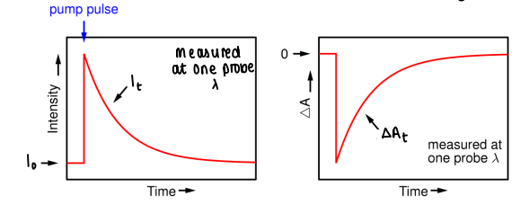 <p>Find the change in absorbance, where I<sub>0</sub>&nbsp;is the initial probe intensity, and I<sub>t</sub>&nbsp;is the probe intensity at time t.</p><ul><li><p>Plot change in absorbance against time.</p></li><li><p>ΔA<sub>t</sub> is proportional to Δc<sub>t</sub></p></li></ul><p></p>
