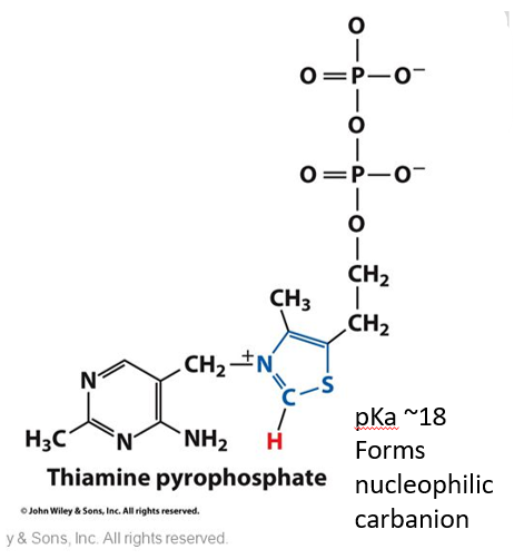<p>Abbrev: TPP</p><p class="has-focus">Group Transfer: Hydroxyalkyl residues</p><p class="has-focus">Vitamin: B1 (Thiamine)</p>