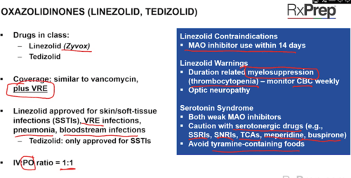 <p>50S subunit inhibitor of protein synthesis</p><p>Drug: Linezolid (Zyvox), Tedizolid</p><p>Coverage: Similar to vanco - plus VRE</p><p>Linezolid approved for SSTI, VRE infections, pneumonia, BSI</p><p>Tedizolid only SSTI </p><p>No dose adjustment in renal impairment (unlike vanco)</p><p>IV:PO ratio is 1:1</p><p>CI</p><p>+ Do not use with or within 2 weeks of MAO inhibitors</p><p>Warnings:</p><p>+ Duration related myelosuppression (thrombocytopenia)</p><p>+ Optic neuropathy </p><p>+ Serotonin syndrome</p><p>+ Hypoglycemia</p><p>SE</p><p>+ Decrease plts</p><p>Notes</p><p>+ Do not shake </p><p>Interactions</p><p>+ Linezolid and tedizolid are reversible monoamine oxidase inhibitors</p><p>+ Caution with serotenergic drugs (SSRIs, SNRIs, TCAs, meperidine, buspirone)</p><p>+ Avoid tyramine containing foods and serotonergic drugs (aged, pickled, smoked)</p>