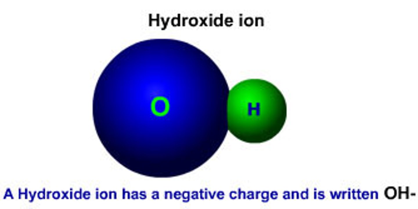 <p>hydroxide ion; when OH- ions outnumber the H+ ions a solution is basic.</p>