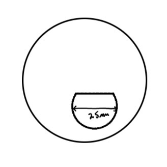 <p>The segment width in mm</p>
