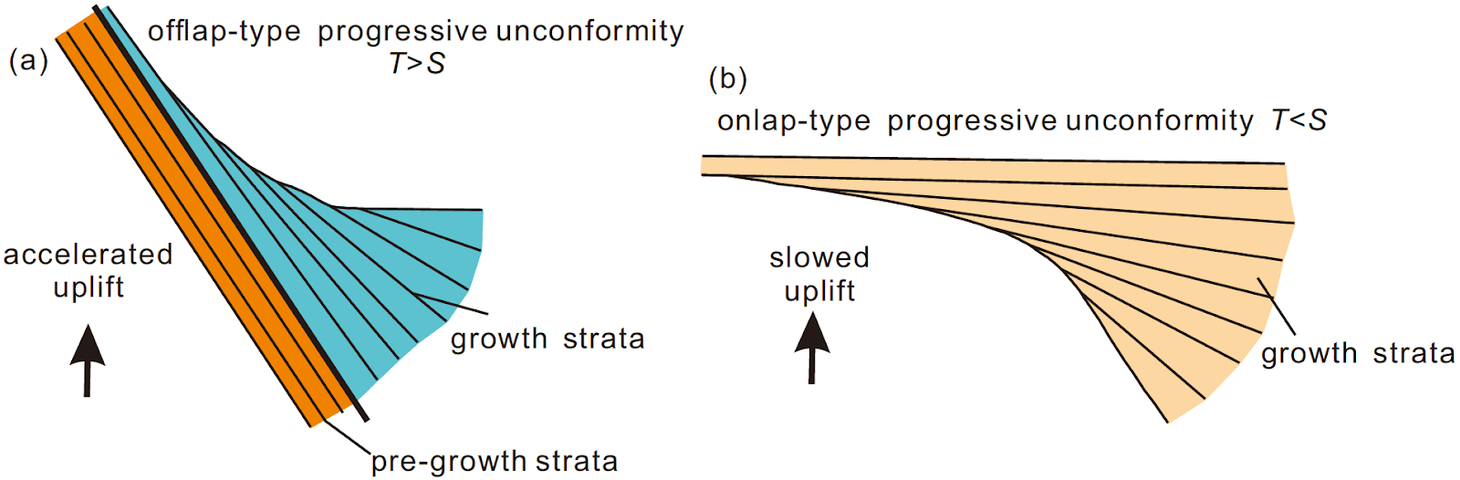 <p>Progressive thrust faults consume the strata from previous sequences of deformation. Sediment is layered with each new faulting sequence; older beds begin to tilt upwards</p>