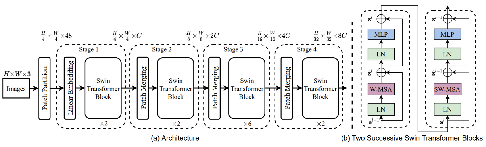 <ul><li><p>able to process images of arbitrary size using a hierarchical design of multiple resolution levels</p></li><li><p>local attention: limited to non-overlapping windows</p></li><li><p>introduces a window-shifting mechanism for information flow across distant regions</p></li><li><p>tokens are merged (pooled) by a learnable projection at each level</p></li></ul><p></p>