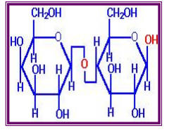 <p>Lactose</p>
