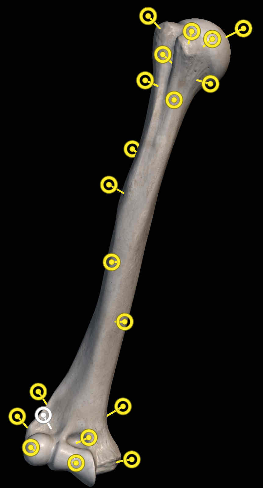 <p>Name the structure </p>