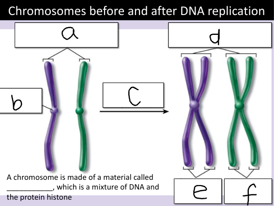 <p>Label the diagram</p>