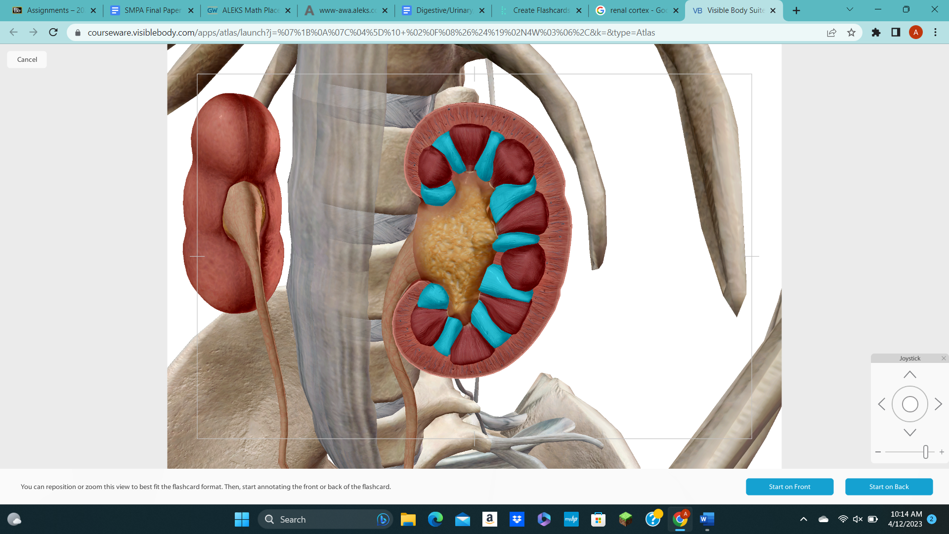 knowt flashcard image