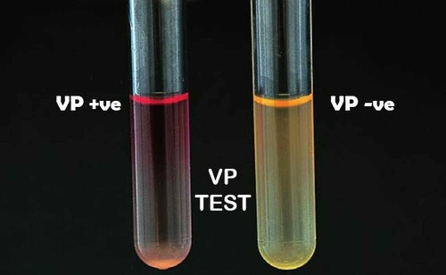 <p>Acetoin or carbinol.</p>