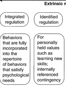 <p>Integrated regulation and identified regulation.</p>
