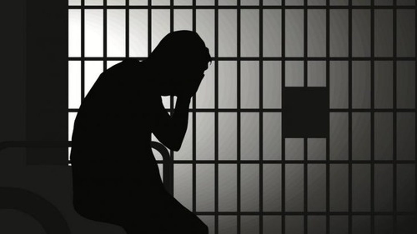<p>(n) A prison sentence that (theoretically) keeps people in prison until they die (chung thân)</p>
