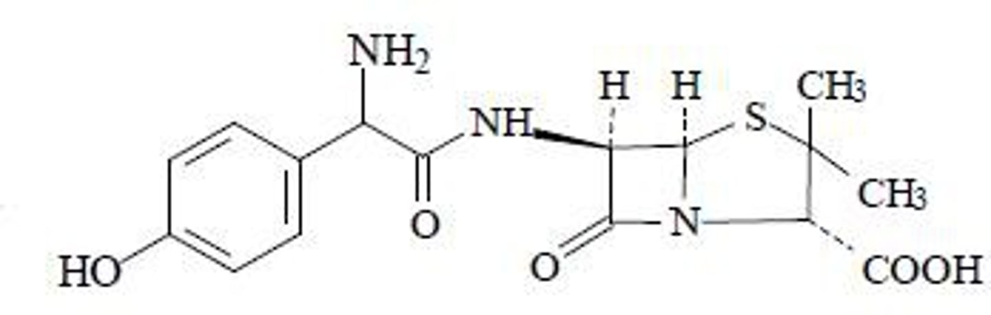 <p>By an addition of an amino group to the β-lactam ring side chains.</p>