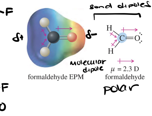 <p>The vector sum of all bond dipole moments and lone pair electrons in a molecule, reflecting the overall polarity of the molecule.</p>
