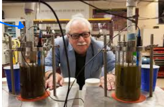 <p><strong><u>RDP and RUP Measurements </u></strong></p><ul><li><p>______ (in the glass) </p><ul><li><p>Experimental <strong>laboratorial </strong>approaches </p></li></ul></li></ul><p></p>