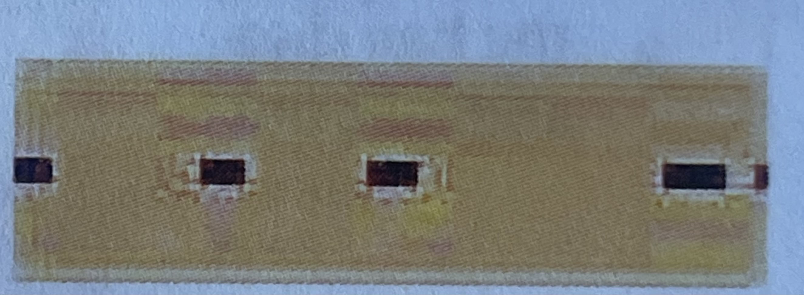 <p>What type of medullary shape is this? </p>